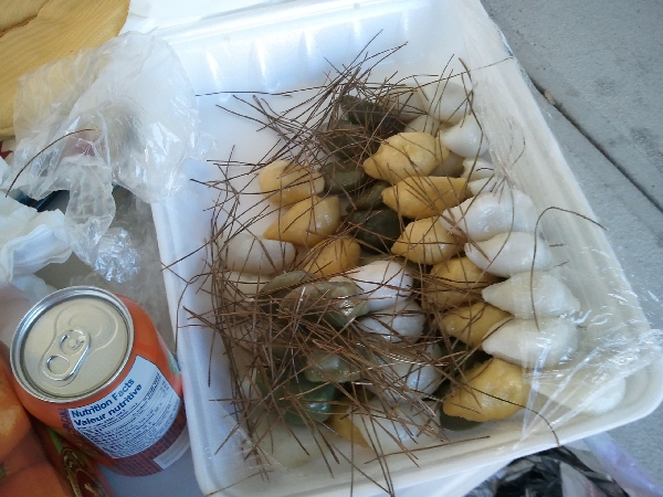 /up2/img/public_board_restore/201210/201210022abb8d13ab4163ee7dc90a9824e85cd5.jpg