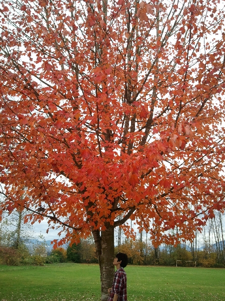 /up2/img/public_board_restore/201211/201211071cf2cd5a9d758f3f4ede7aeded5cf5d4.jpg